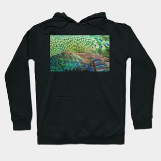 Peacock Feathers Abstract Hoodie